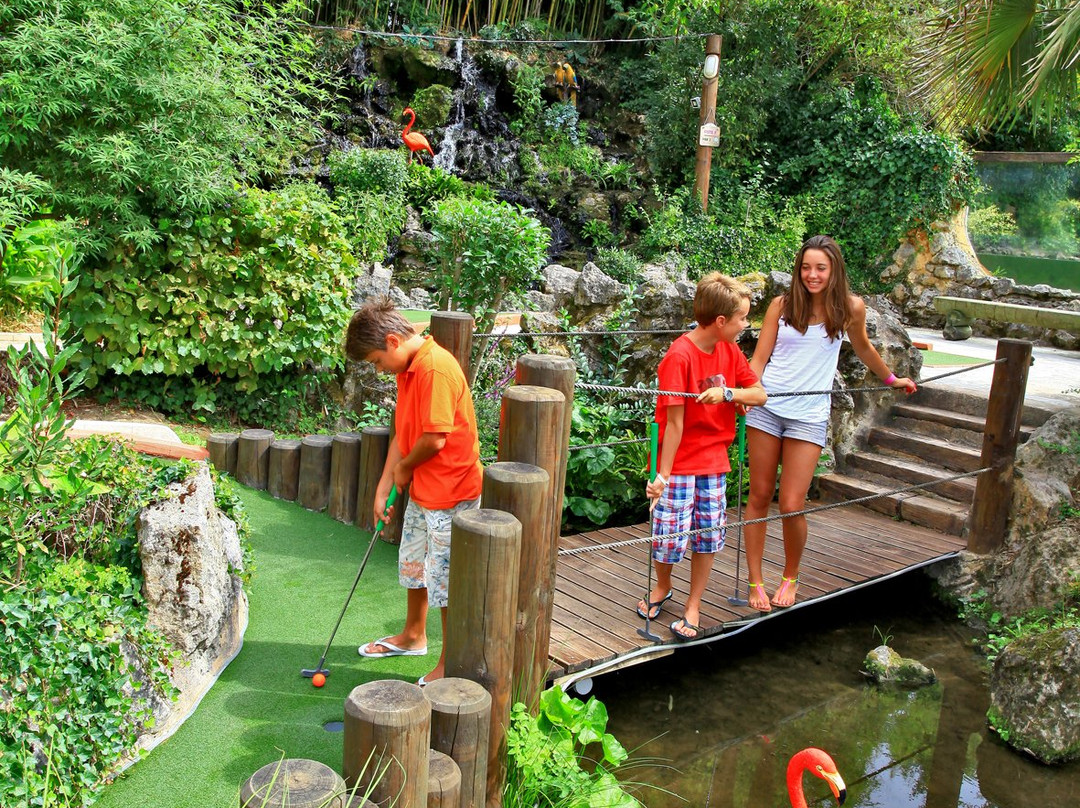 Jungle Golf景点图片
