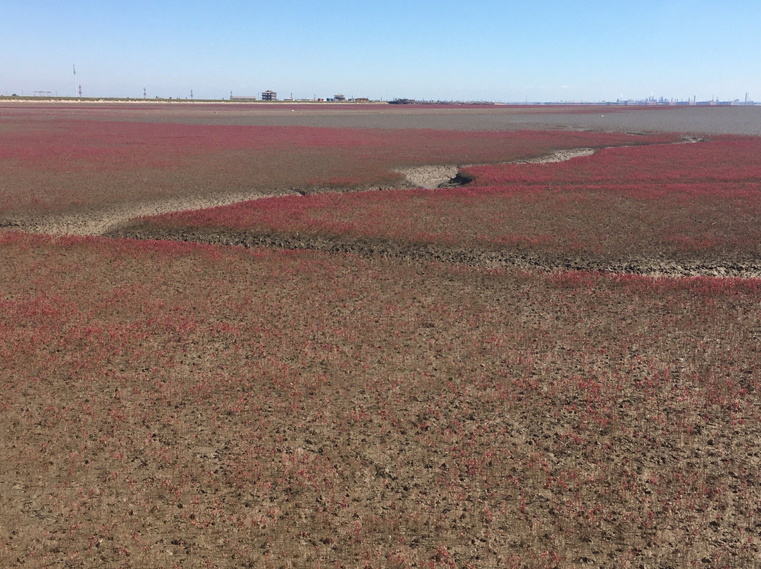 盘锦湖滨公园-盘锦市必去景点