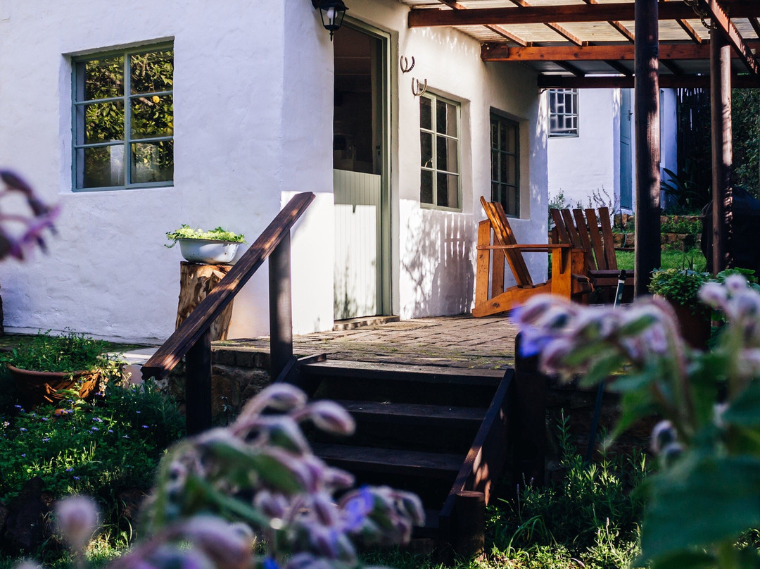 Boschrivier Farm & Stables-Wittedrift必去景点