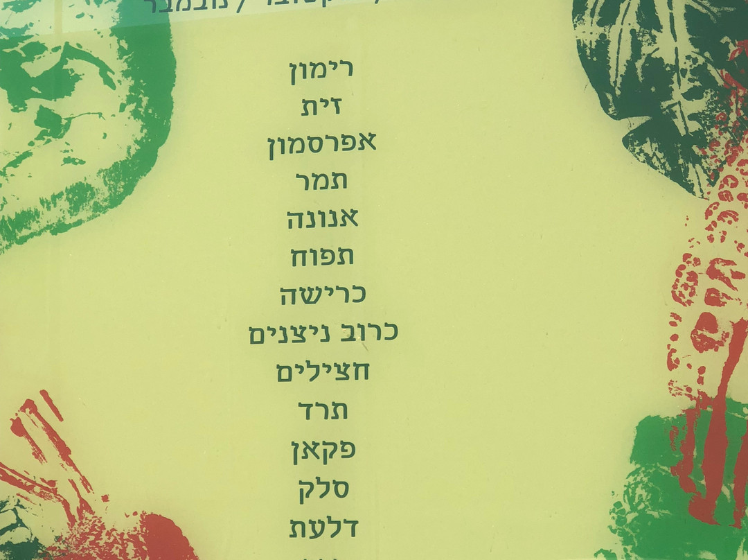 Shuk HaNamel-特拉维夫必去景点