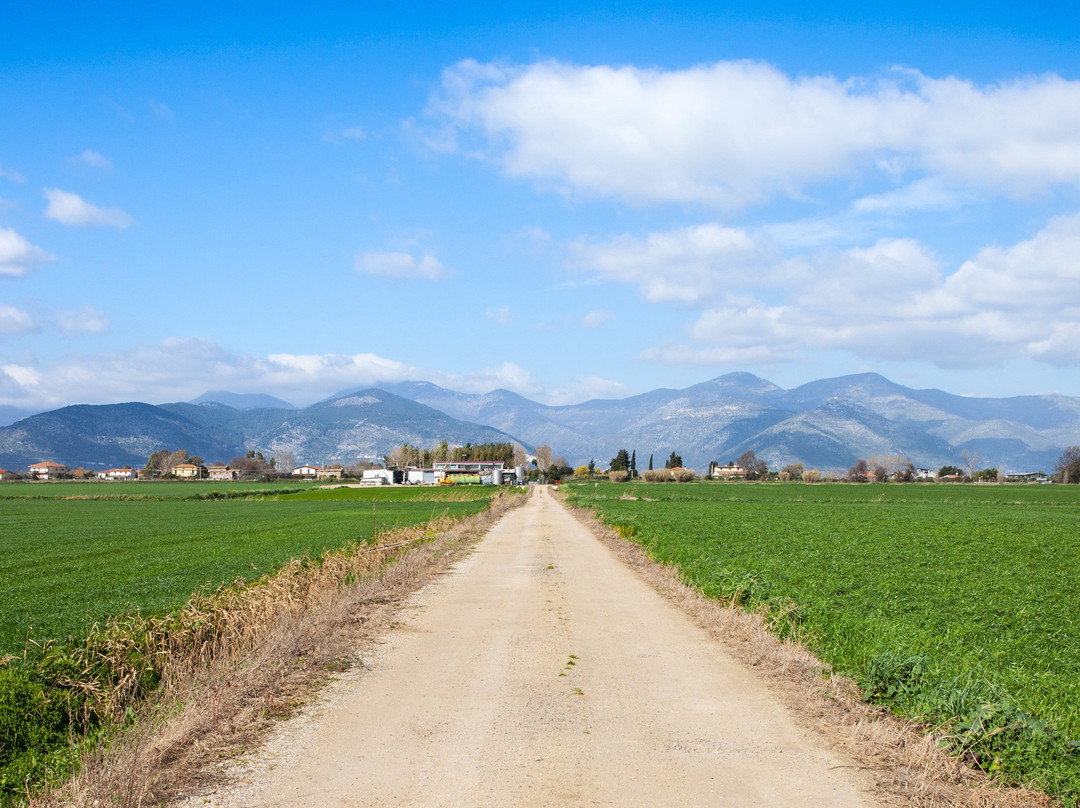 Azienda Agricola Casabianca-丰迪必去景点