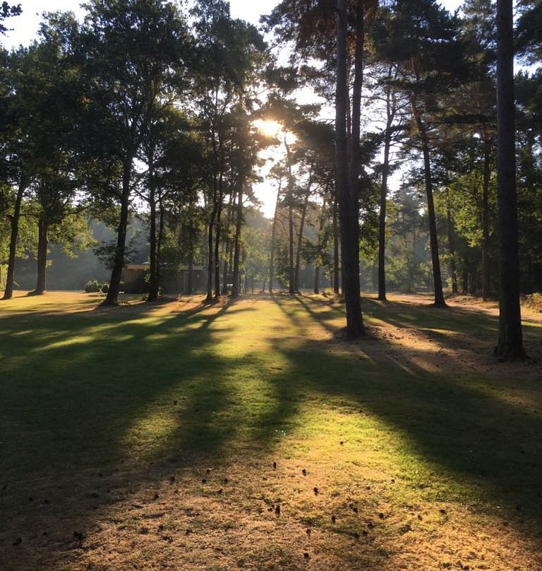Eurocamping Vessem