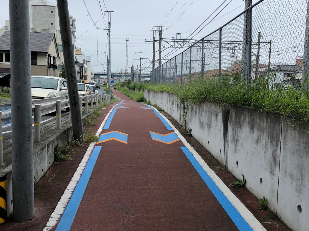 Tsukuba Rinrin Road-樱川市必去景点