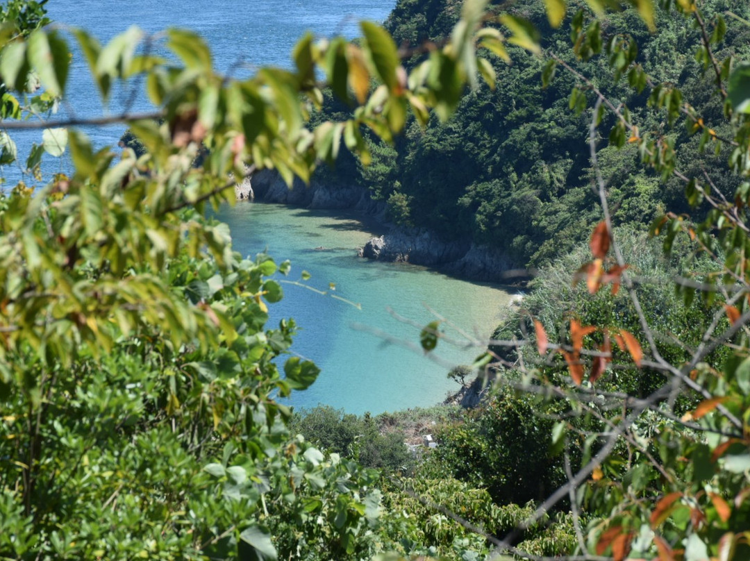 Nogutsunajima Island-松山市必去景点
