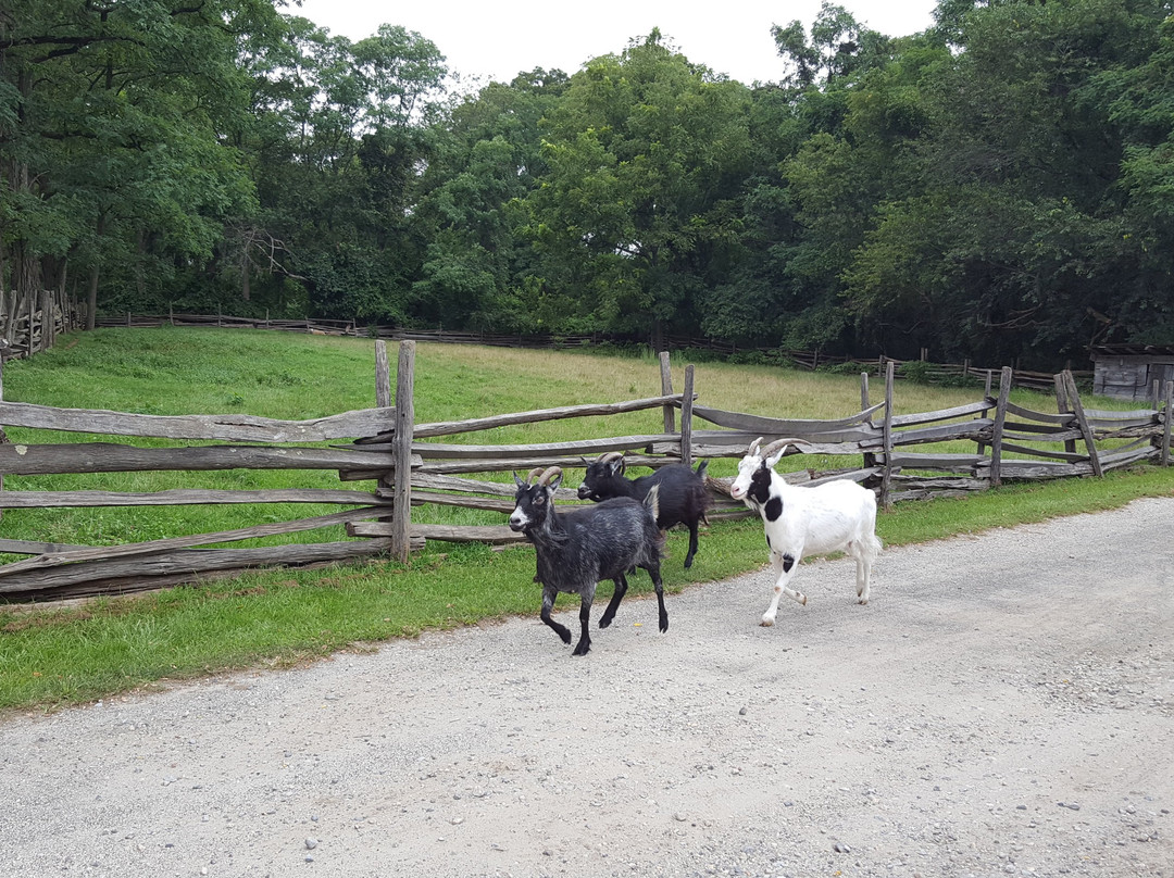 Old Bethpage Village Restoration景点图片
