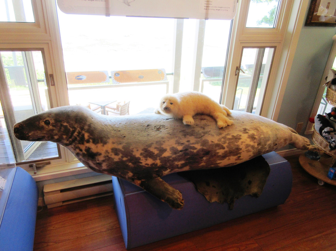 Station Exploratoire du Saint-Laurent (St. Lawrence Exploration Centre)-Riviere du Loup必去景点