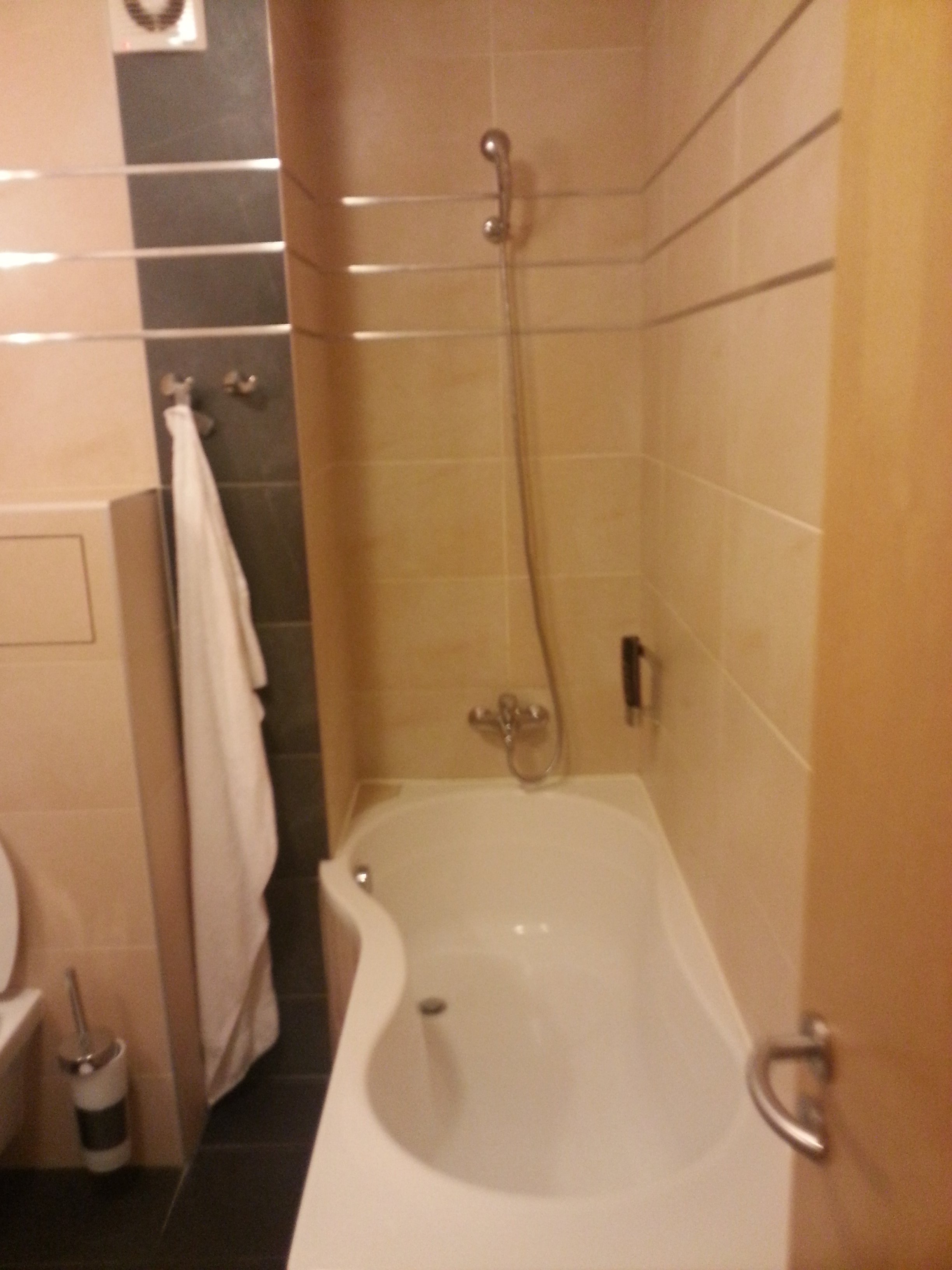 Hotel Lions Plzen-浴室