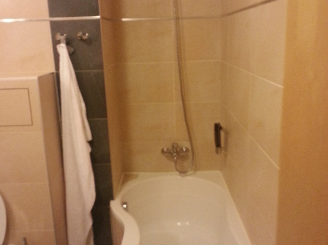 Hotel Lions Plzen主图
