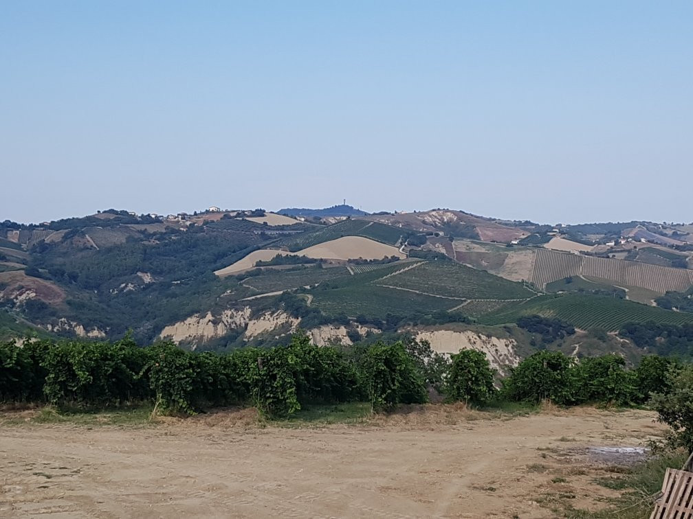 Societa Agricola San Filippo景点图片