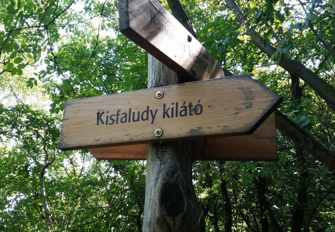 Kisfaludy Aussichtsturm景点图片