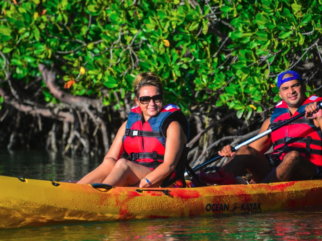 Sea Kayak Adventures-毛里求斯必去景点