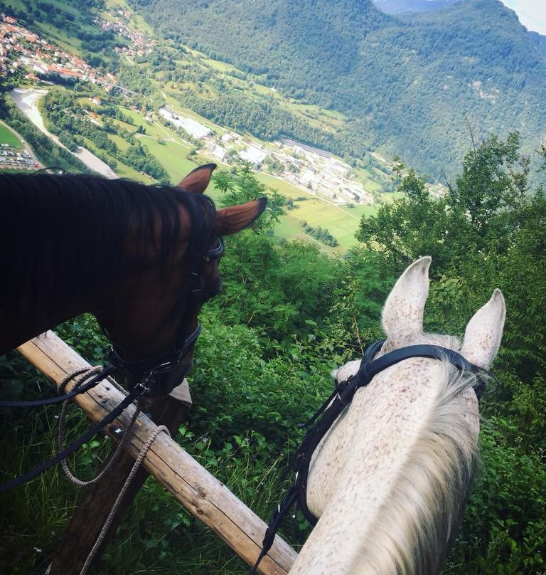 Horse Riding Club Ranch Pelance景点图片