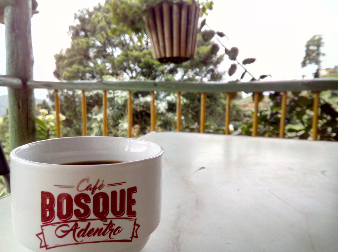 Cafe Bosque Adentro景点图片