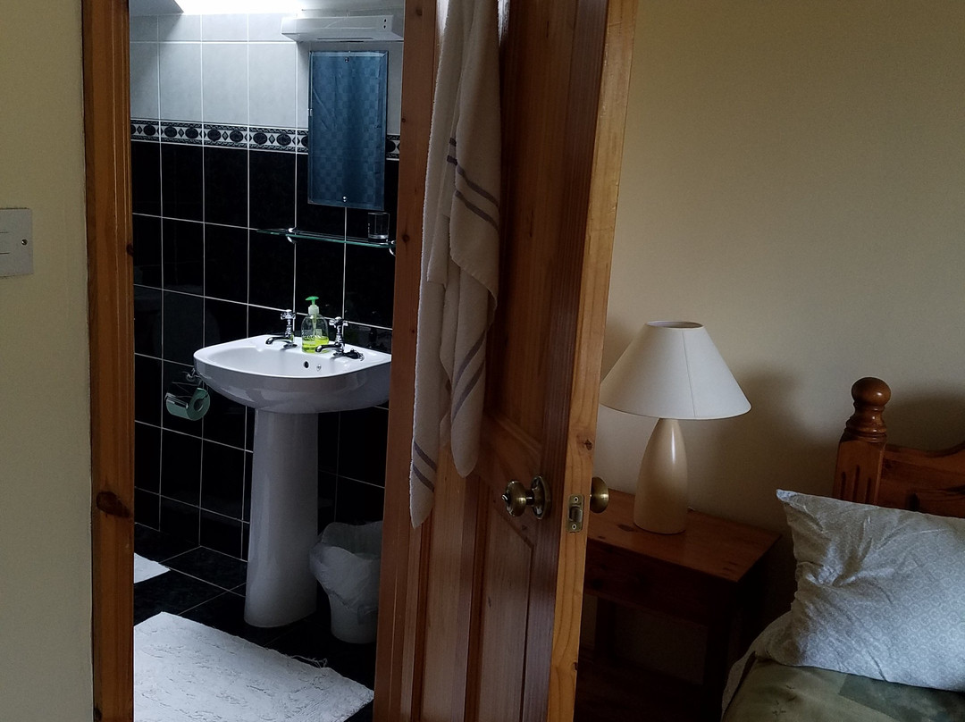Drumbo Lodge B&B主图