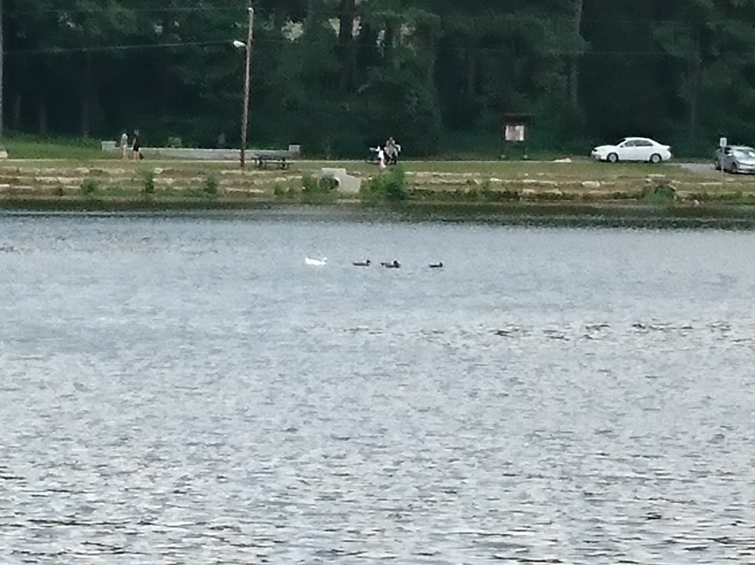 Murphey Candler Park-Brookhaven必去景点