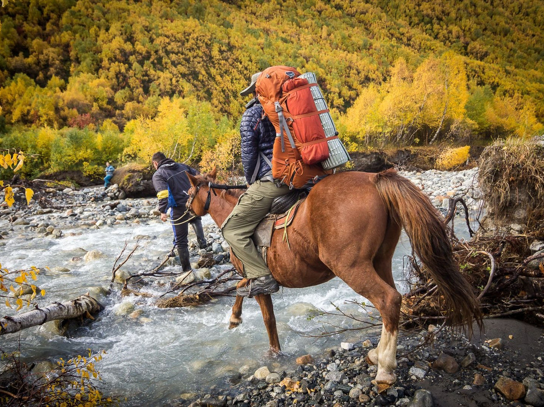 Horse Rentals in Ushguli Official-Ushguli必去景点