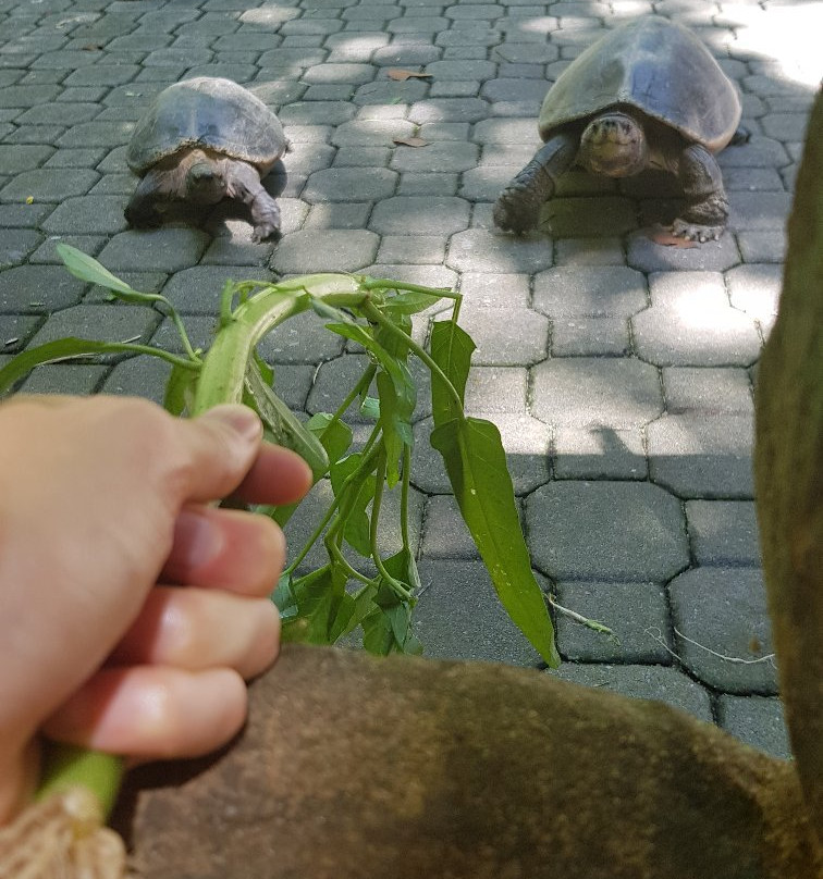 Ipoh Secrets-怡保必去景点