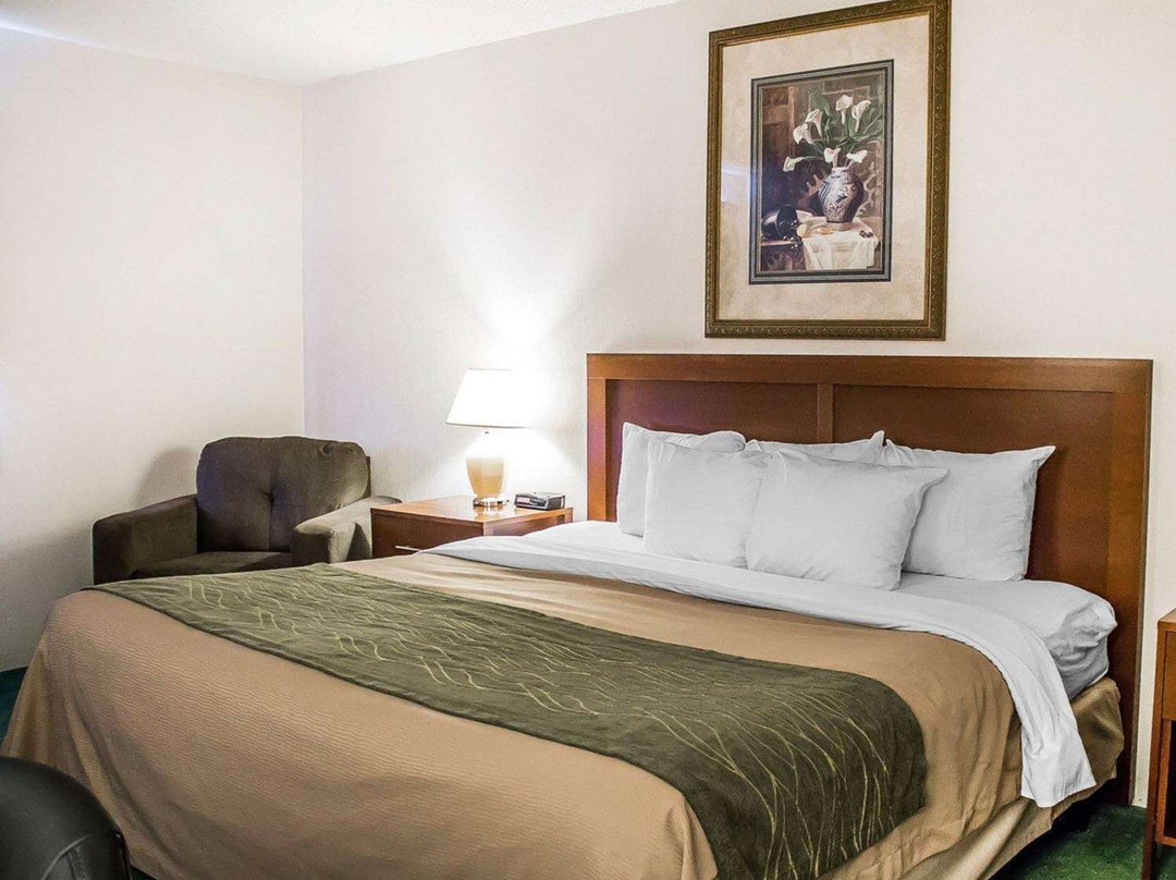 Comfort Inn Manistique主图