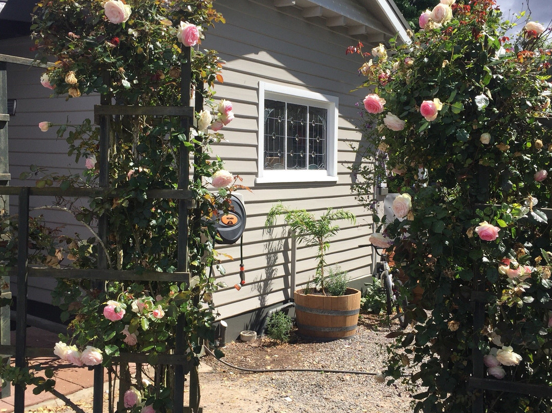 Meander Valley Vineyard-Red Hills必去景点