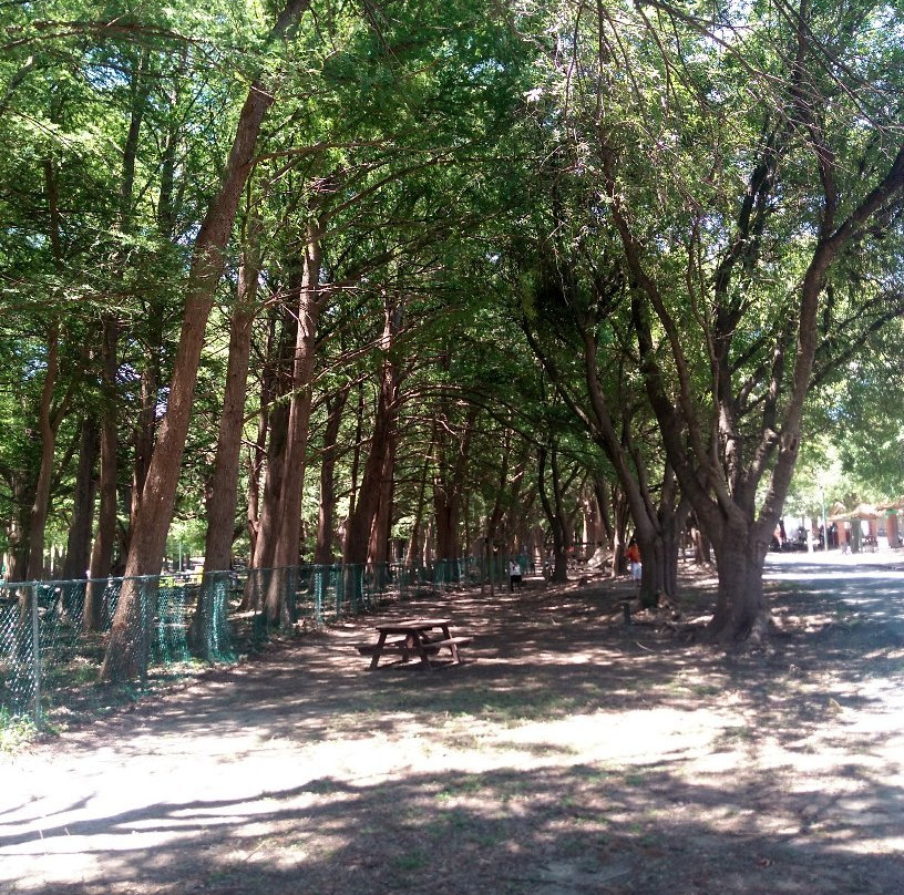 Parque Nacional El Sabinal-Cerralvo必去景点