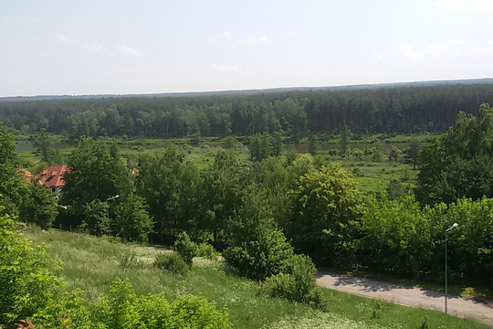 Synagoga w Inowłodzu-Inowlodz必去景点