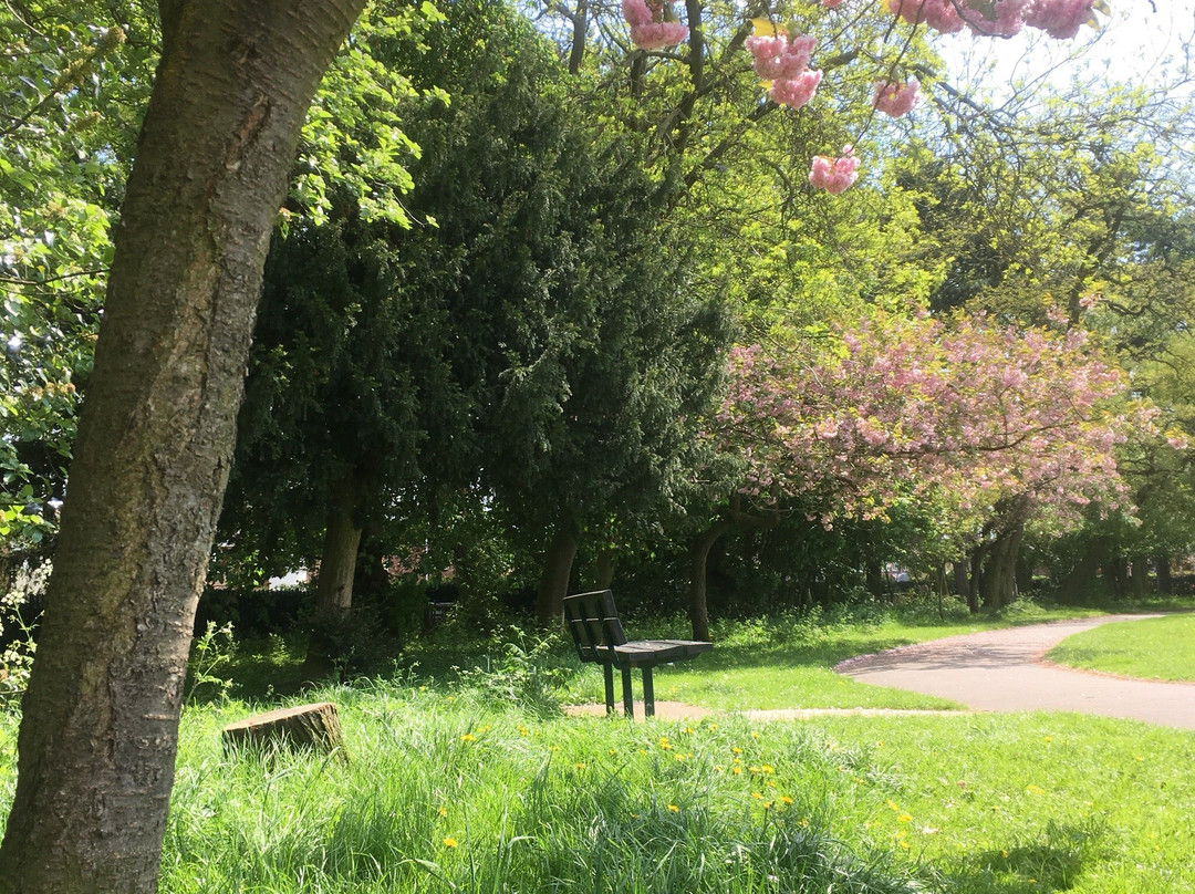 West Bank Park景点图片