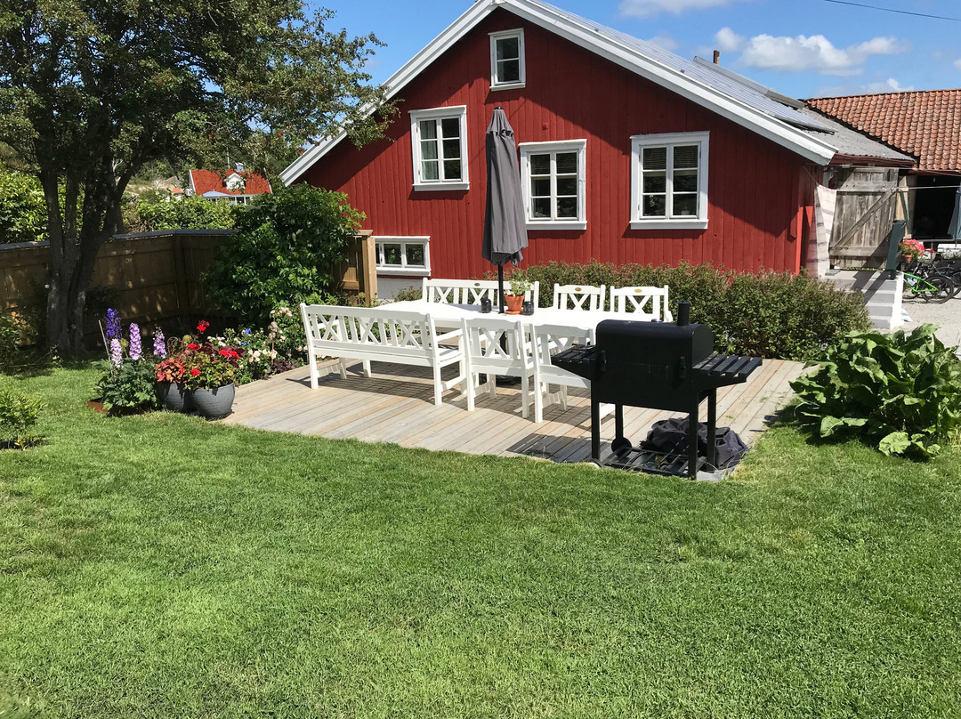 Rovor Och Rum