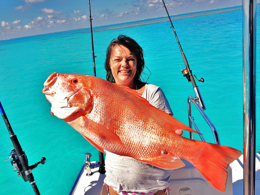 Reef Fish & Dive 1770-Agnes Water必去景点