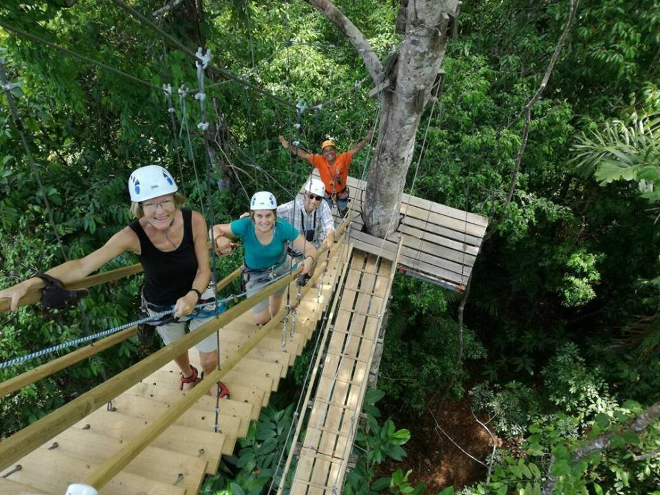 Corcovado Canopy Tour景点图片