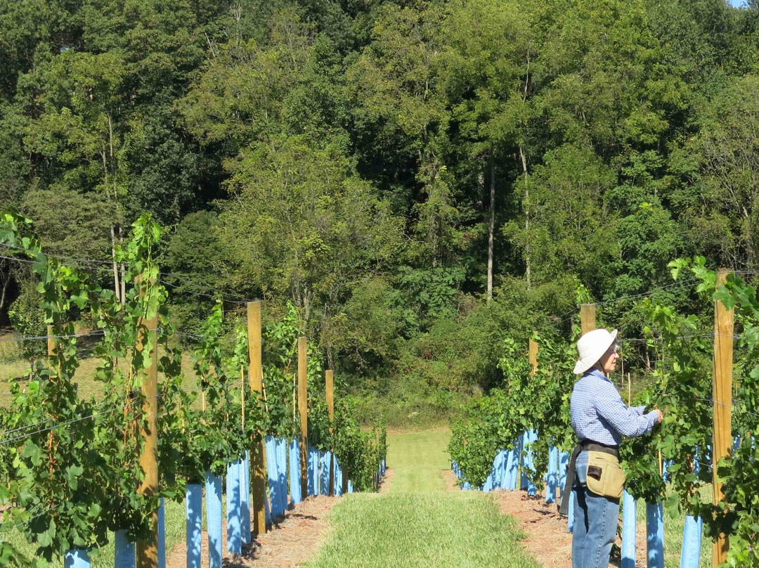 Links Bridge Vineyards-Thurmont必去景点