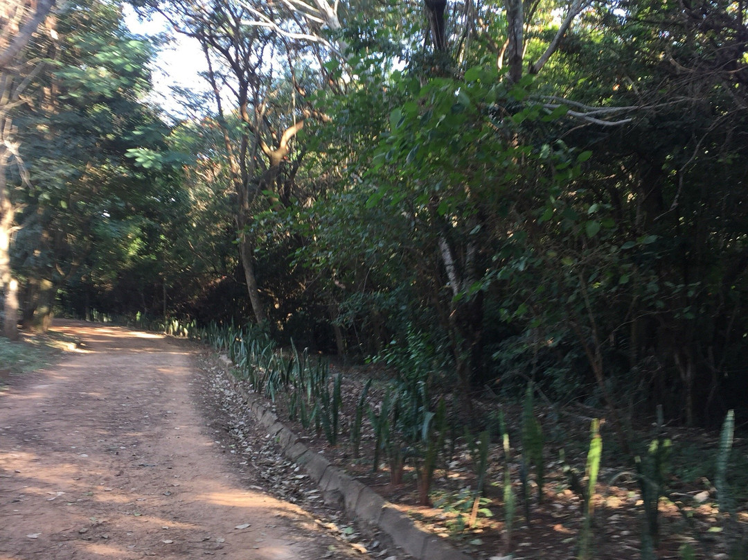 Parque Ecologico Prof. Hermogenes de Freitas-坎皮纳斯必去景点