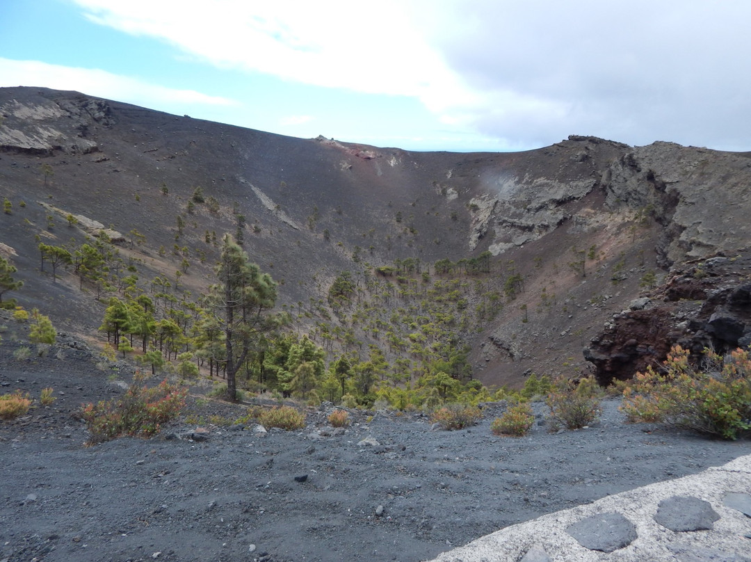 Centro de visitantes de los volcanes de Fuencaliente景点图片