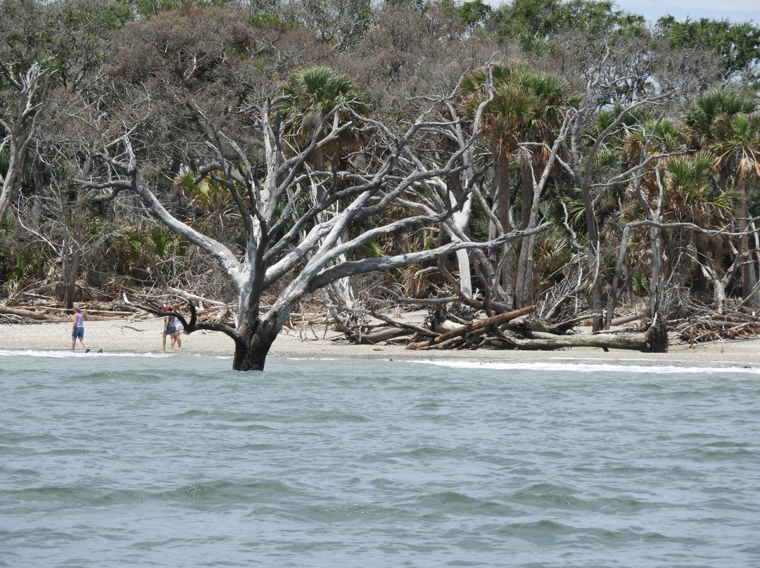 Edisto Saltwater Tours景点图片