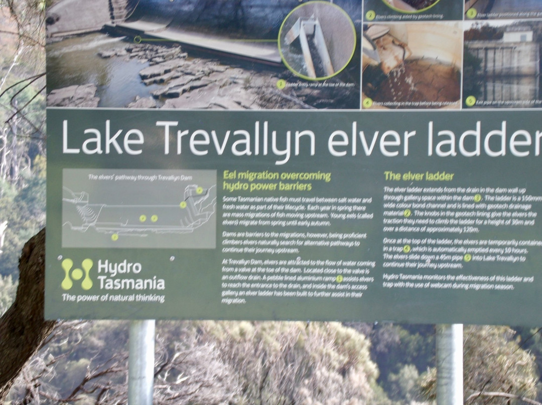 Lake Trevallyn景点图片