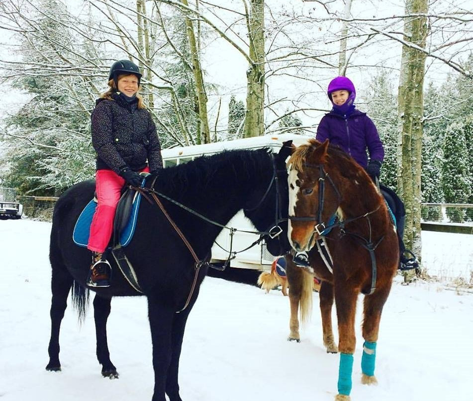 Langley 204 Horseback Riding-兰里市必去景点