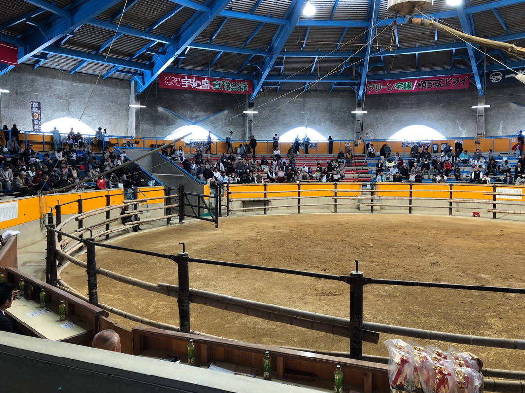 Municipal Bullfights Stadium-宇和岛市必去景点