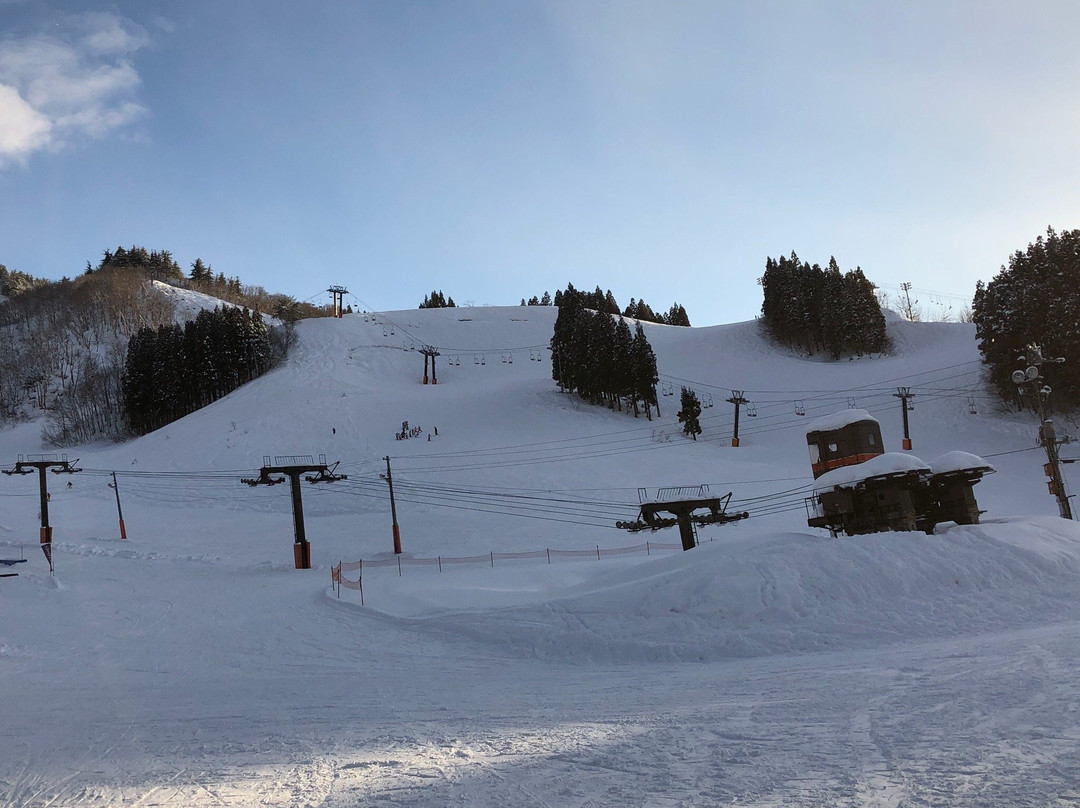 Yuzawa Park Ski Resort景点图片