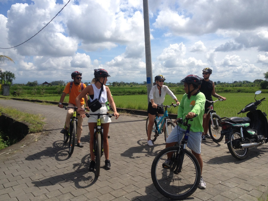 Omah Lembu Cycling Tour景点图片