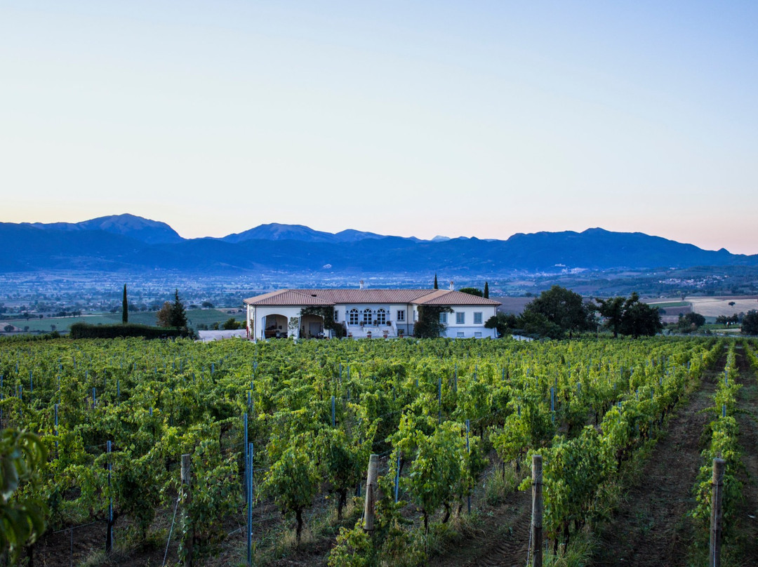 Tenuta Lungarotti-Montefalco必去景点