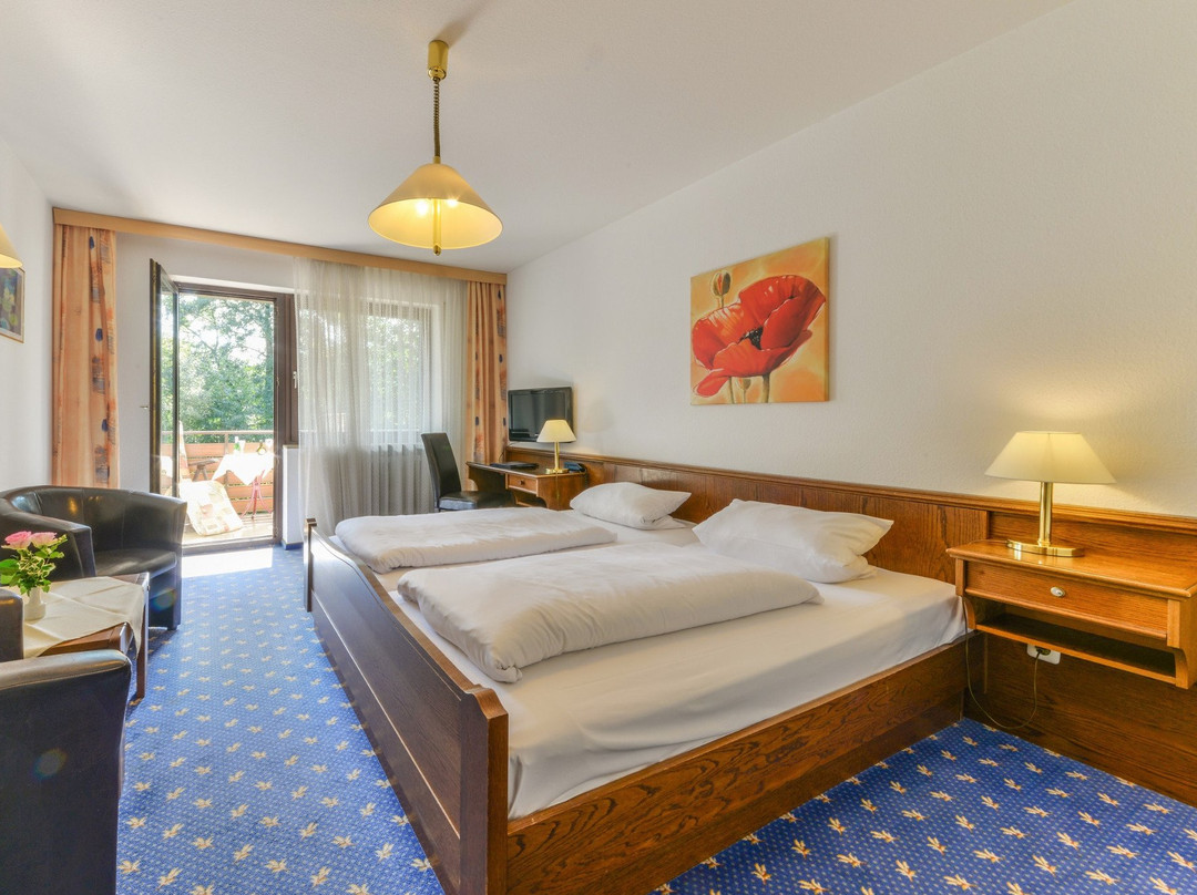 Hotel Zur Mühle主图