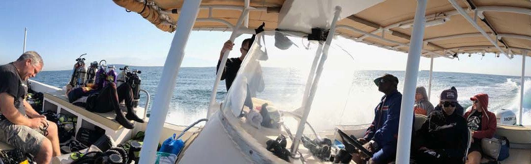 Al Jazeera Diving & Swimming Center-哈伊马角必去景点