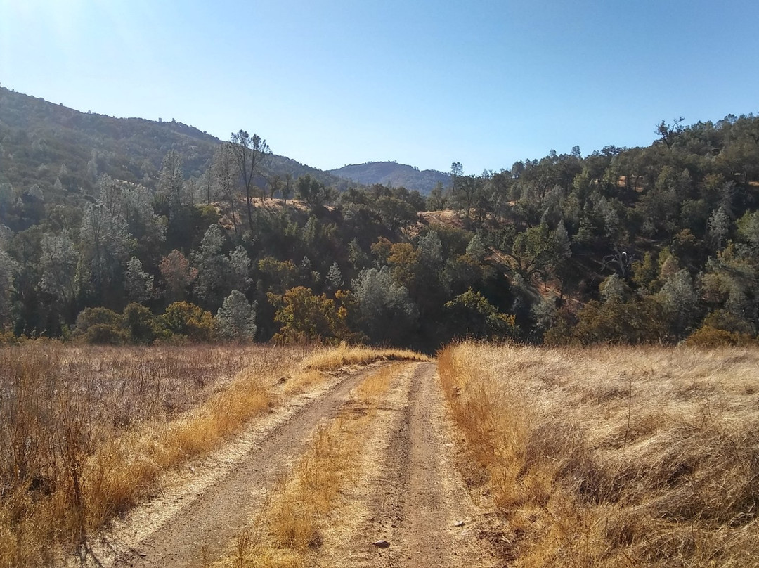 Henry W. Coe State Park-摩根希尔必去景点