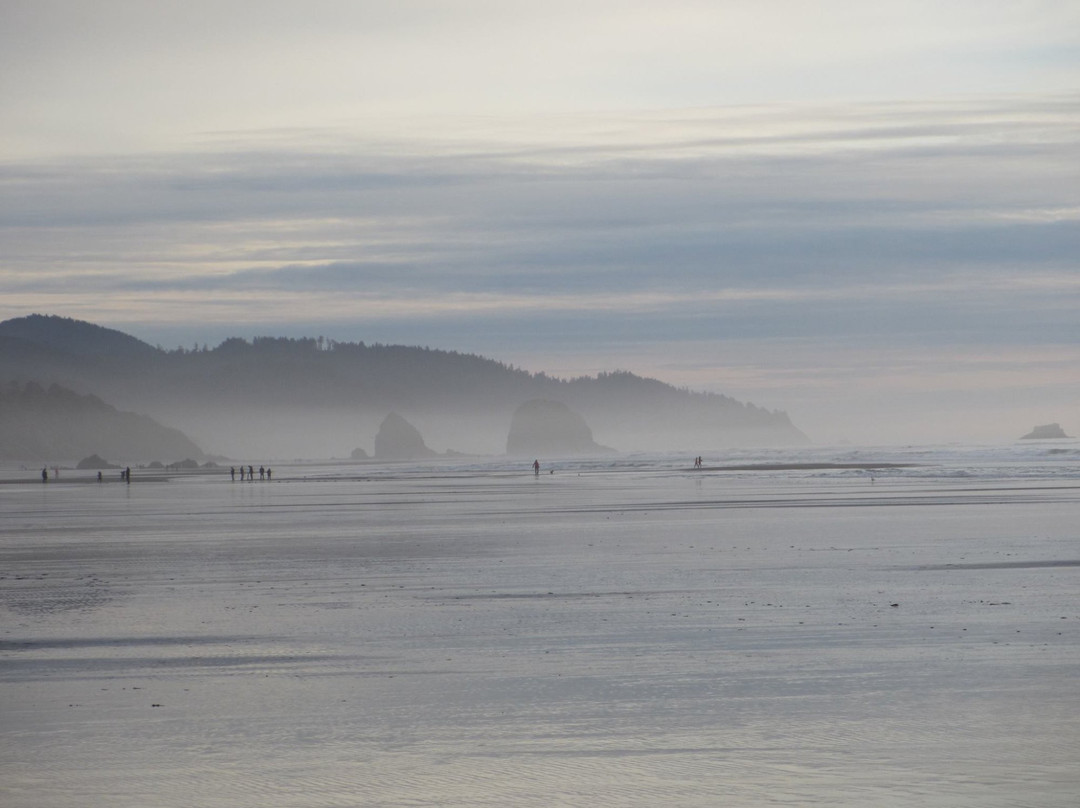 Tolovana Beach State Recreation Site-坎农比奇必去景点