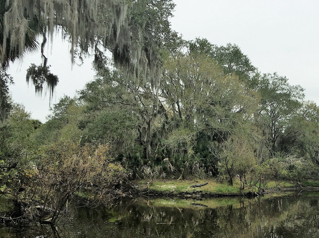 Venice Myakka River Park-Nokomis必去景点
