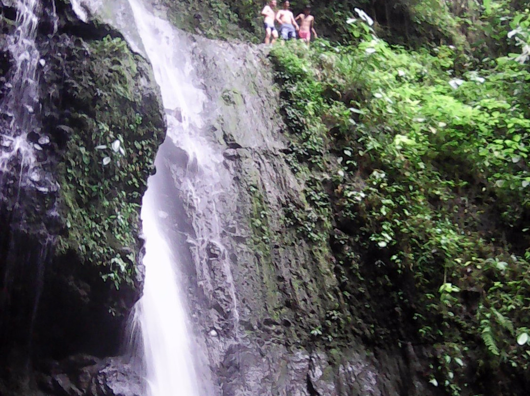 Quindio Department旅游攻略图片