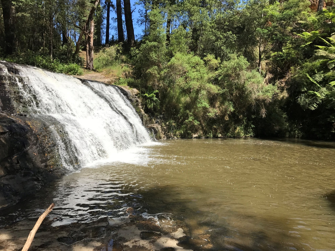 Boolarra旅游攻略图片