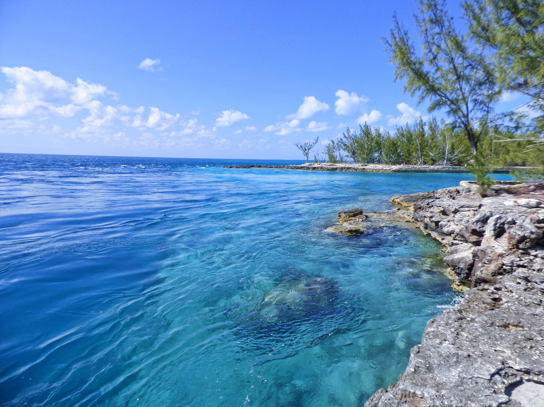 伊柳塞拉旅游攻略图片
