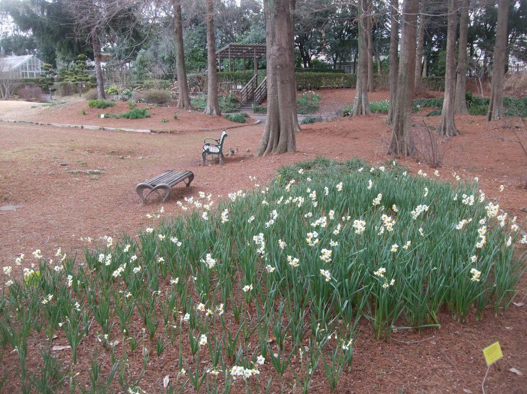 Hattori Ryokuchi Toshi Ryokka Botanical Garden-丰中市必去景点