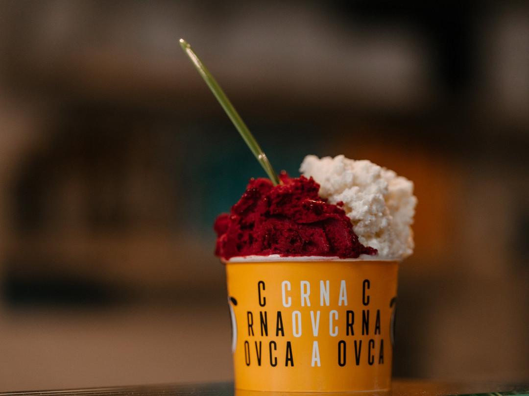 Crna Ovca