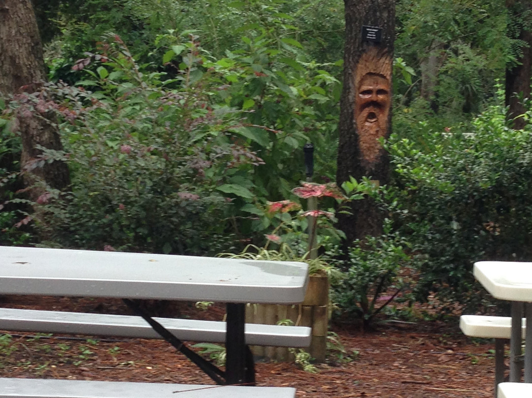 Nature Coast Botanical Gardens & Nursery景点图片